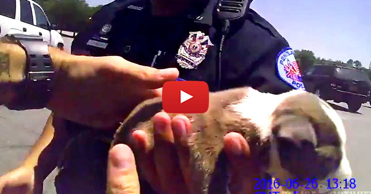 amazing-bodycam-footage-of-police-rescuing-puppy-from-hot-car