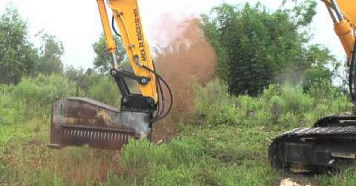 This excavator can mulch a whole tree into pulp in a second