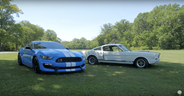 See which Shelby GT350 real Mustang owners prefer