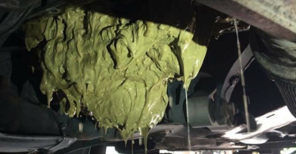 Here’s how some idiot turned their oil into guacamole