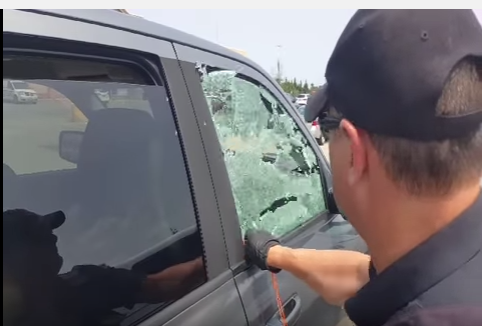Officer has to break a car window to make a rescue from the heat, and it’s really going to cost the owner