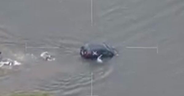 Watch police take a dip to save a woman in a sinking car