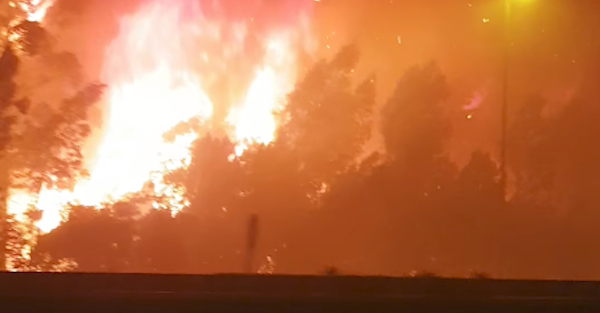 This Is How Fast a Wildfire Engulfs a Car from a Dash Cam’s View