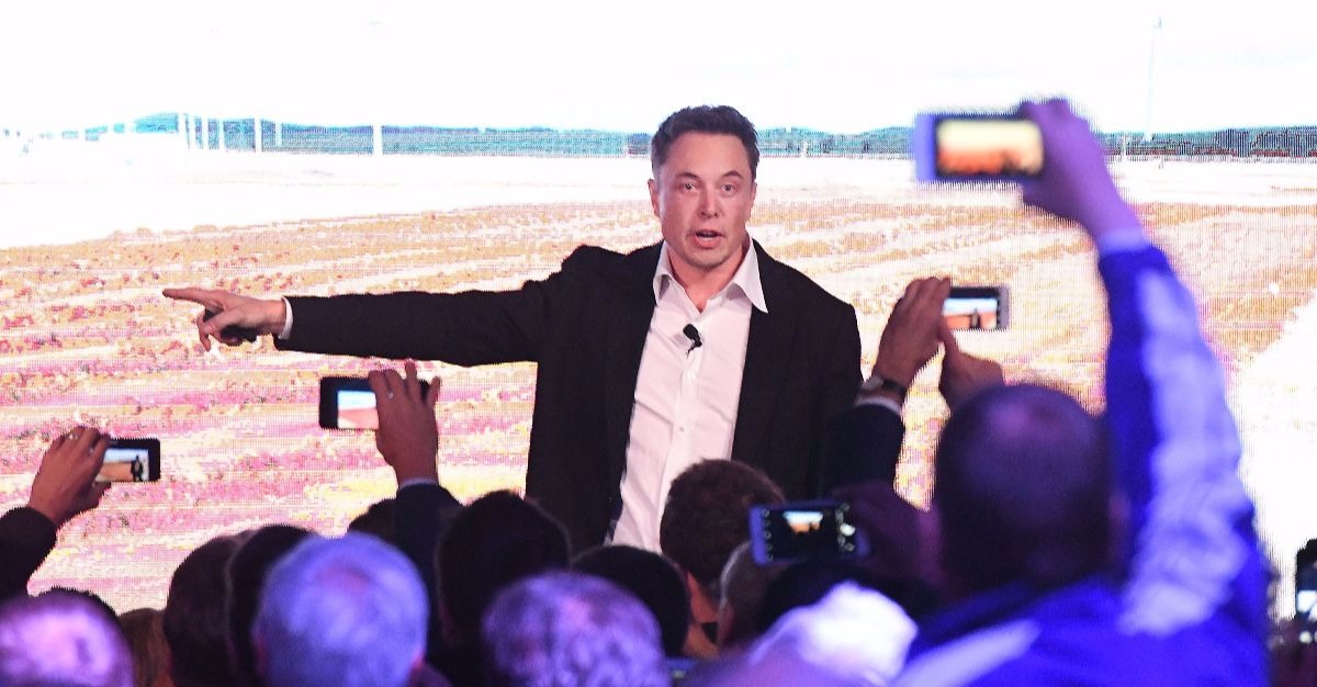 Top Gear co-host’s feud with Tesla Model X creator Elon Musk reignites