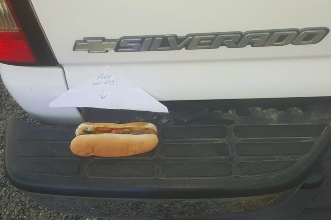 hot dog on bumper