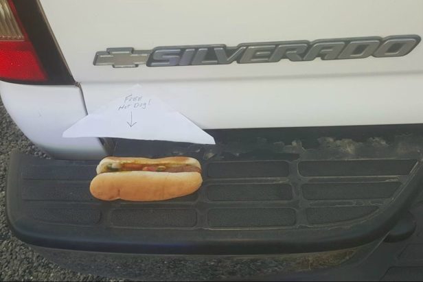 All It Took Was a Hot Dog on His Bumper to Get This Texas Driver out of a Ticket