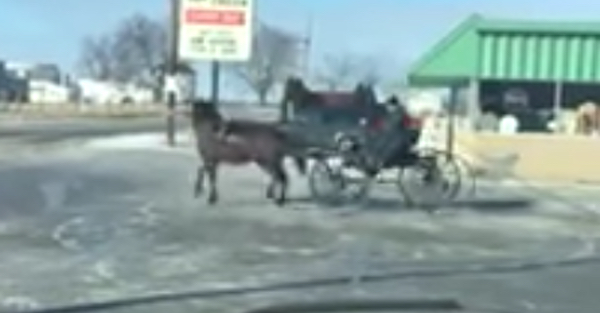 It only takes one horsepower to have a blast in the snow