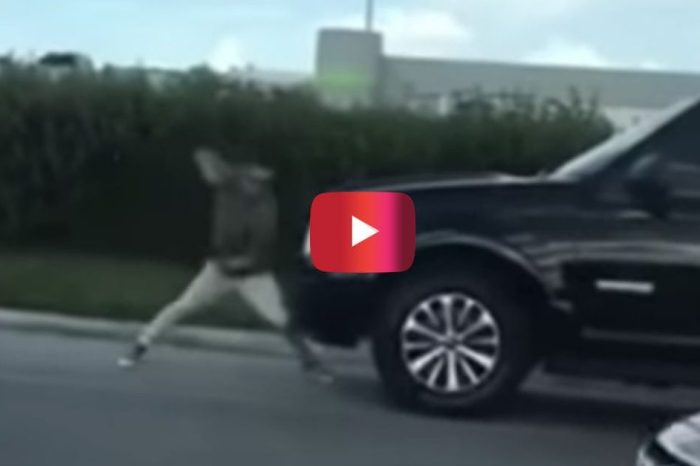 Florida Man Attacks SUV in Bizarre Video