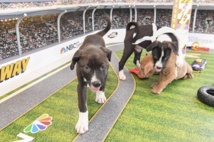 NASCAR ‘Pup’ Series Is the Best NASCAR Event in the History of NASCAR