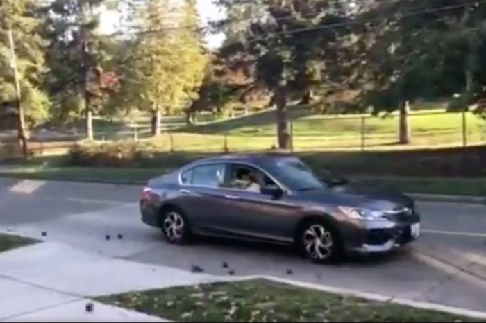 Chaos in Seattle: 44,000 POUNDS Worth of Metal Balls Zip Down Street, Damage Cars
