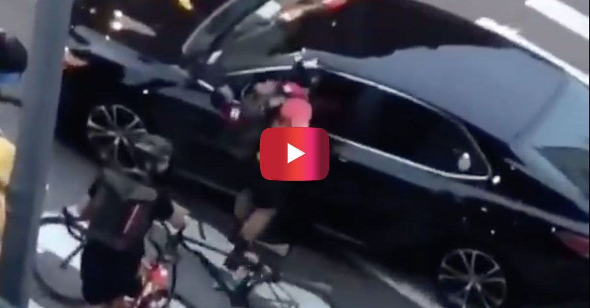 Cyclist Unleashes Hell on Driver Who Was in the Wrong Place at the ...