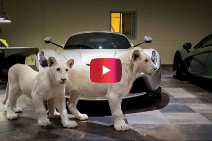 This Extreme Supercar Garage Is Guarded by 2 White Lions