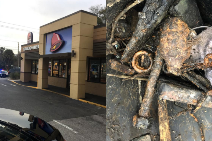 Florida Man Discovers WWII-era Grenade, Causes Mass Hysteria at a Taco Bell