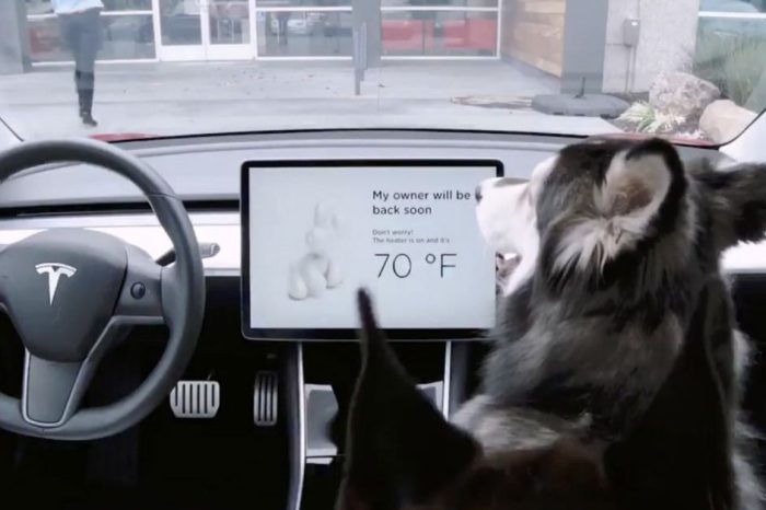 Tesla’s New ‘Dog Mode’ Could Save Your Fluffy Buddy’s Life (Despite the Price)