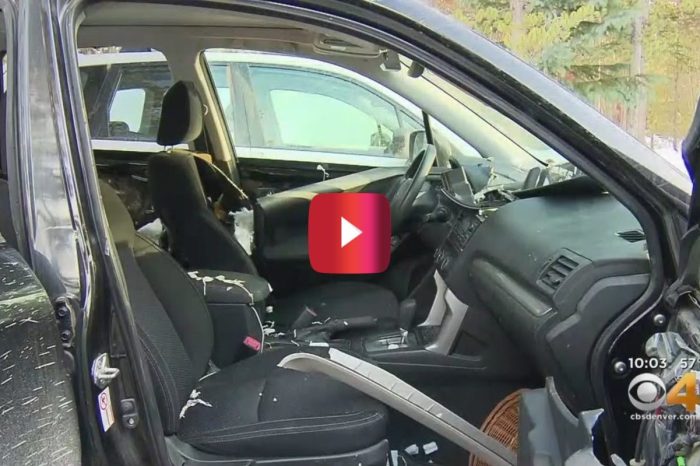 Bear Trashes SUV for Gummy Bears, and Leaves Behind a Nasty Surprise