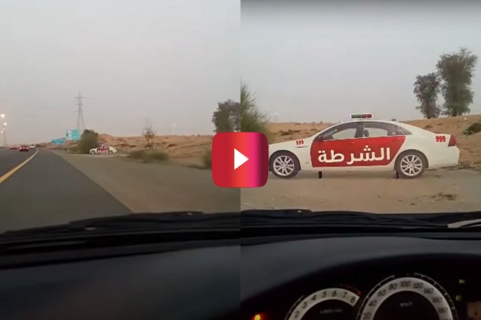 Cop Car Cutout Makes for Hilarious Speed Trap