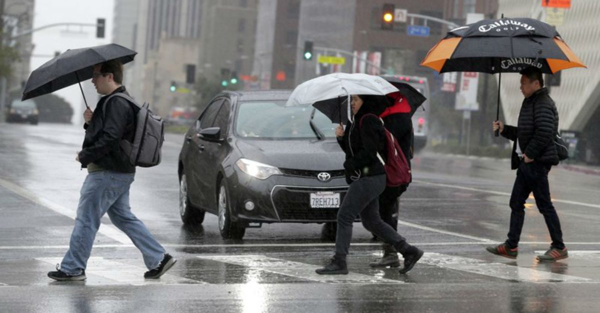 Study Finds That Even Light Rain Can Increase Risk of Deadly Car Crash