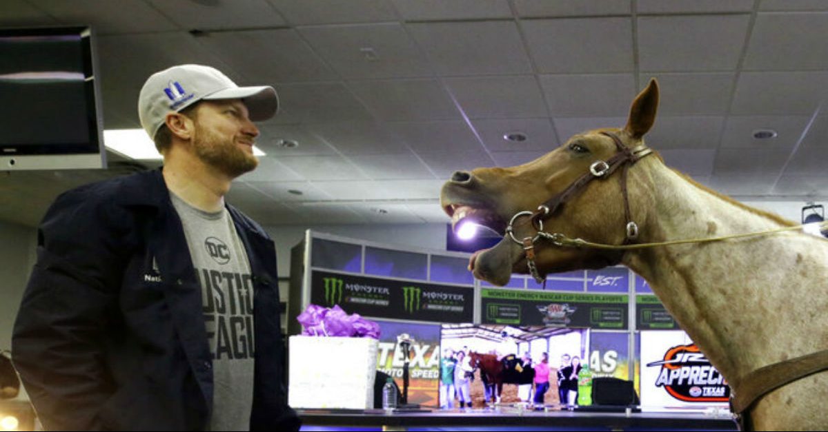 Be on the Lookout for Dale Earnhardt Jr. at This Year's Kentucky Derby