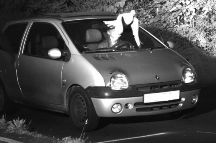 A Speeding Driver Got Away Scot-Free Thanks to This Passing Pigeon
