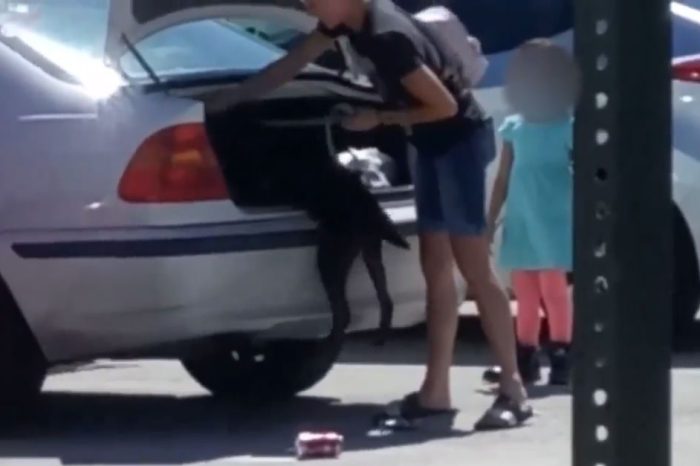 Shocking Surveillance Footage Shows Florida Woman Stuffing Dog in Car Trunk