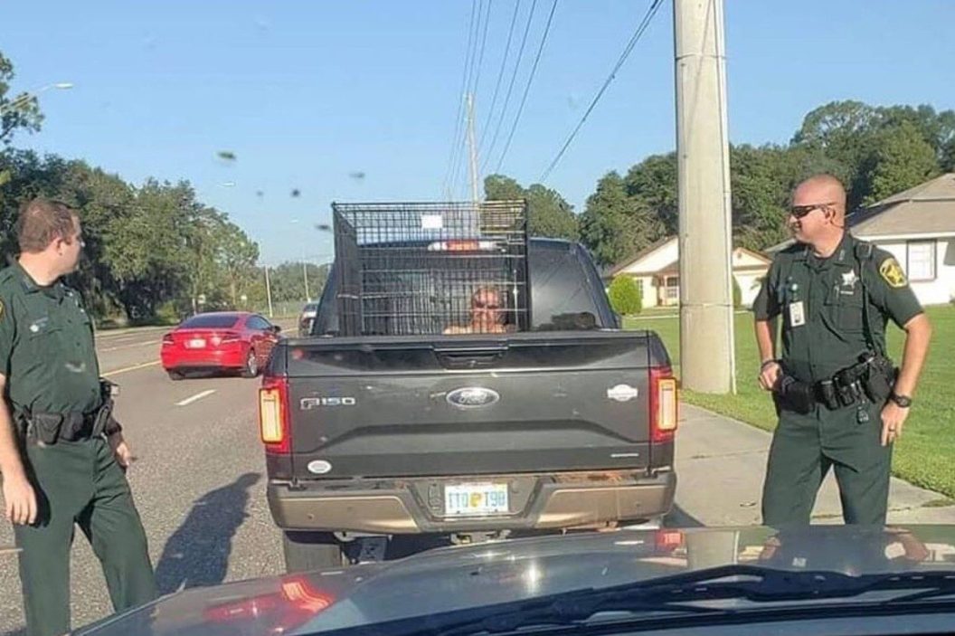 woman pulled over for man in cage