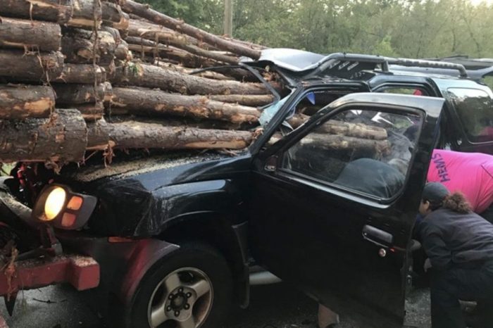 Driver Requires Major Extraction After Logging Truck Crash