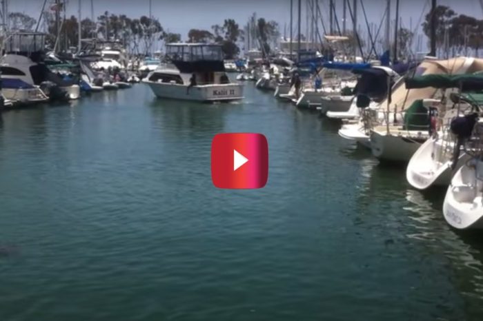 Memorial Day Meltdown: Boat Owner Can’t Stop Hitting Other Docked Boats