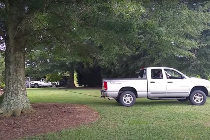 Dodge Truck Uproots Tree, But Leaves the People Wanting More