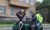 bear on motorcycle