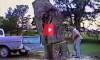 man sawing tree into truck bed fail