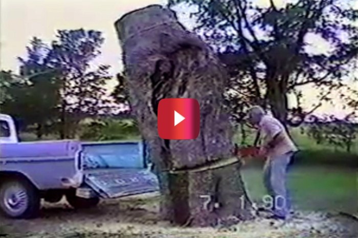 Man Saws Massive Tree Trunk, But He Should’ve Gotten a Bigger Truck for the Job