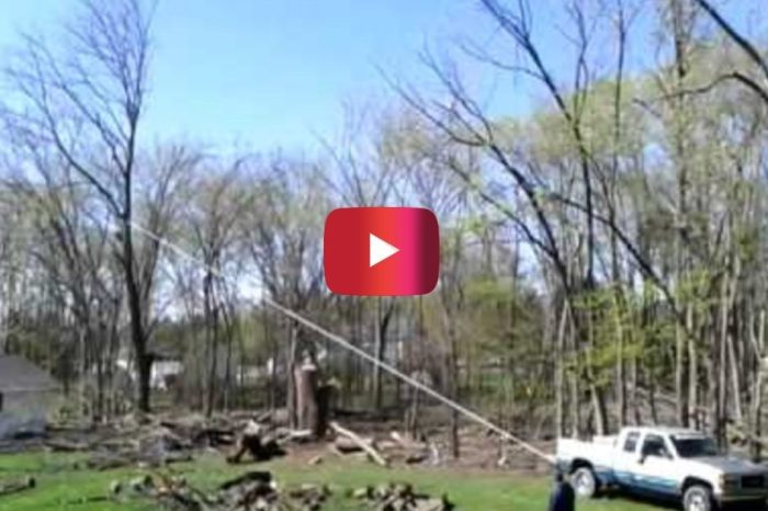 Tree Uprooting Attempt With Truck and Chainsaw Ends in Disaster