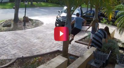 dad tries helping with christmas tree and almost causes crash