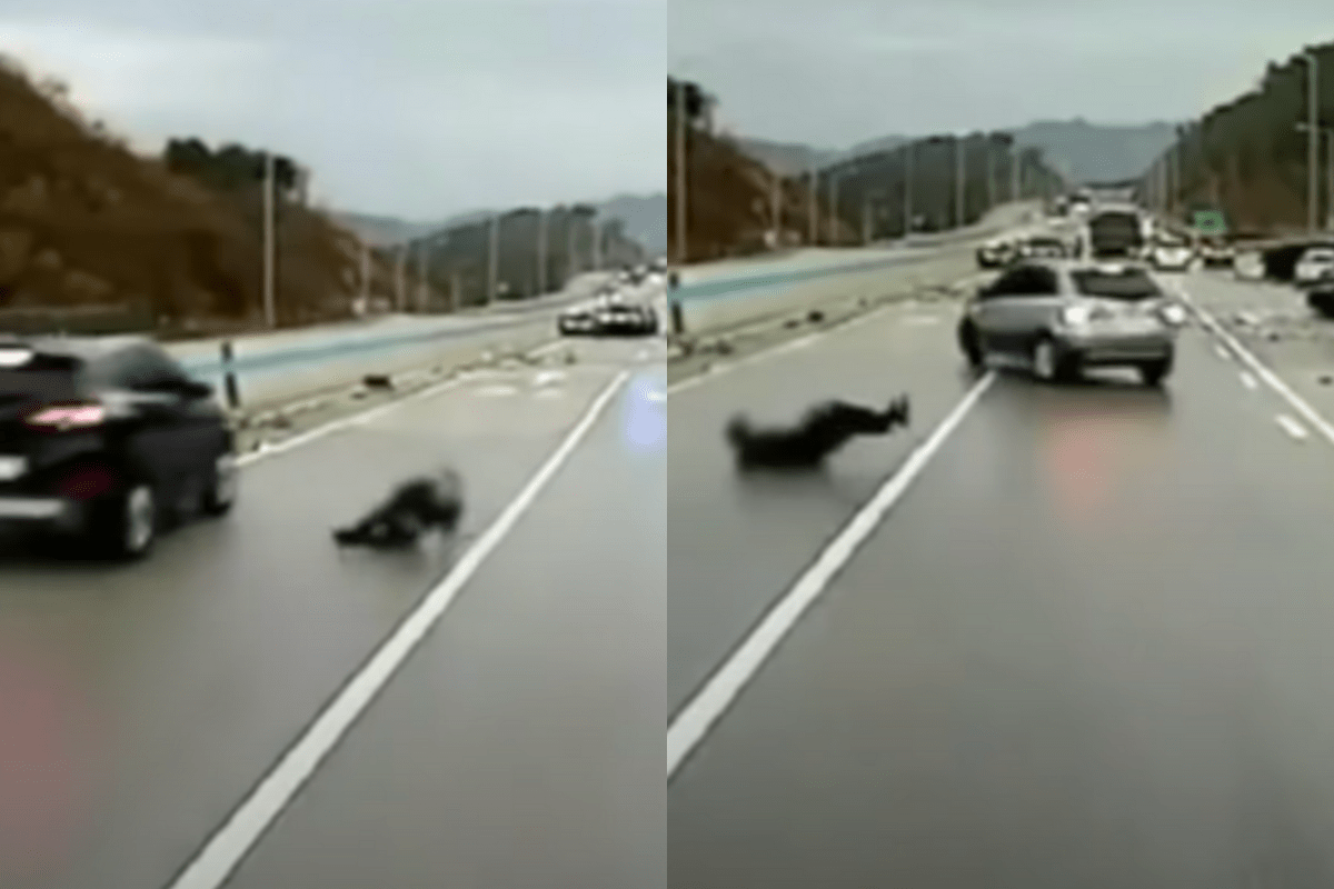 man avoids cars after icy highway crash