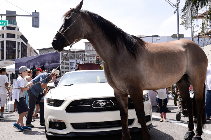 What Does Horsepower Actually Have to Do With Horses?