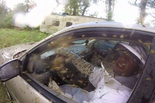 The Interior of This Chevy Malibu Turns Into One Giant Wasp Nest
