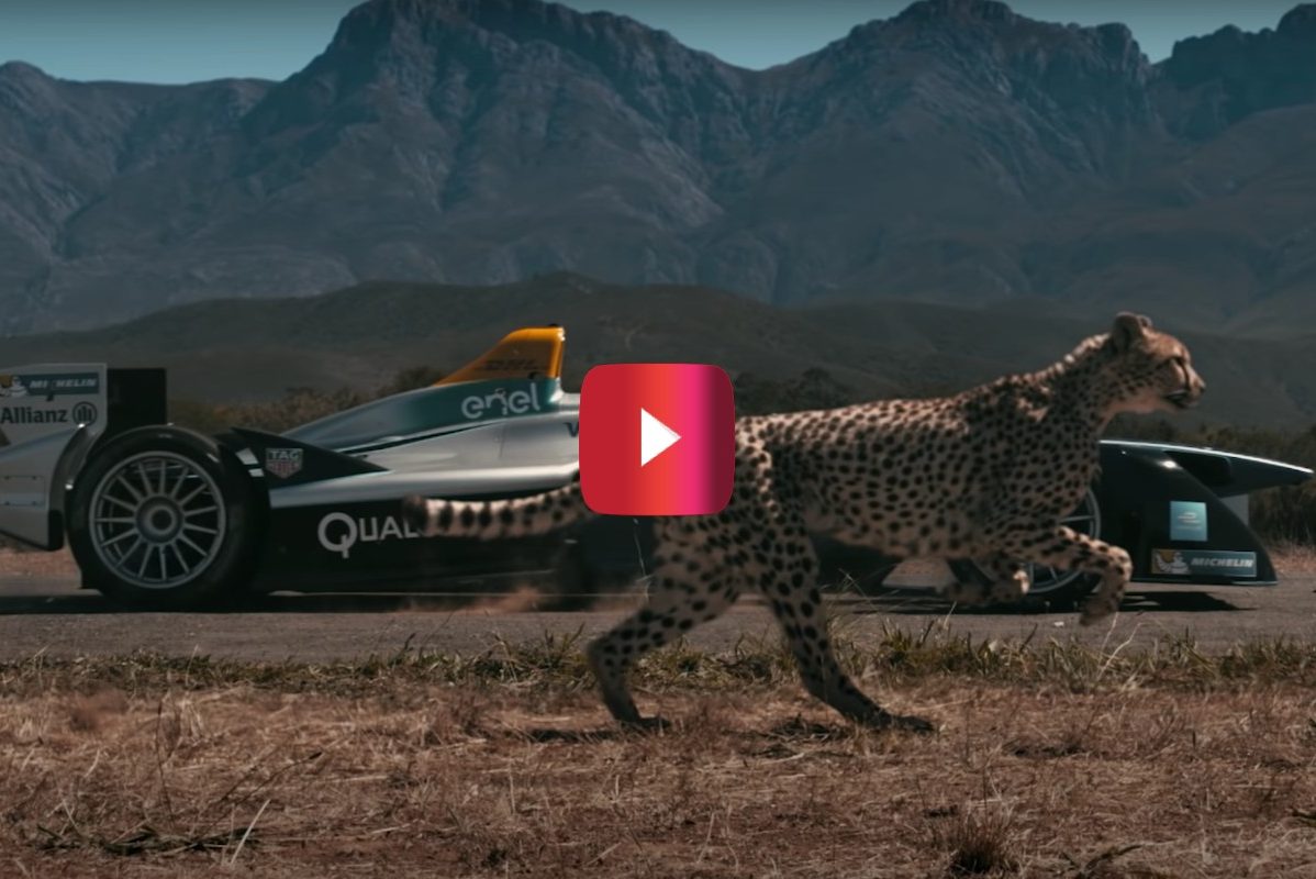 Formula E Car vs Cheetah race