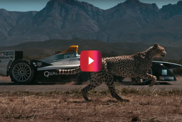 Landing Strip Drag Race Pits Electric Race Car Against Cheetah for a Good Cause