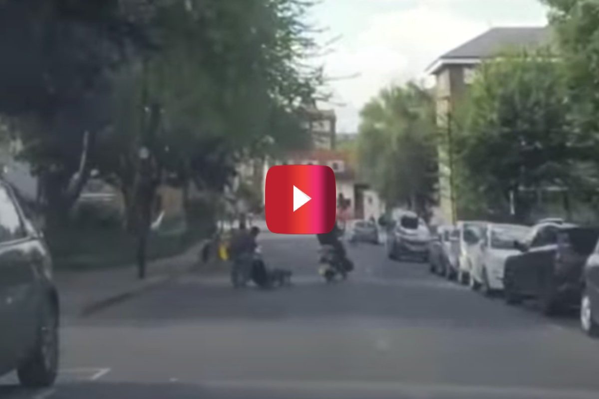 guy takes down moped thieves