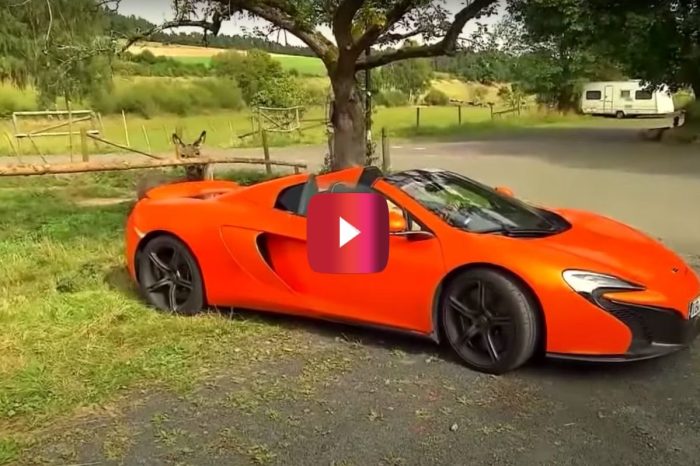 This $365K McLaren Spider Really Got the Attention of One Hungry Donkey