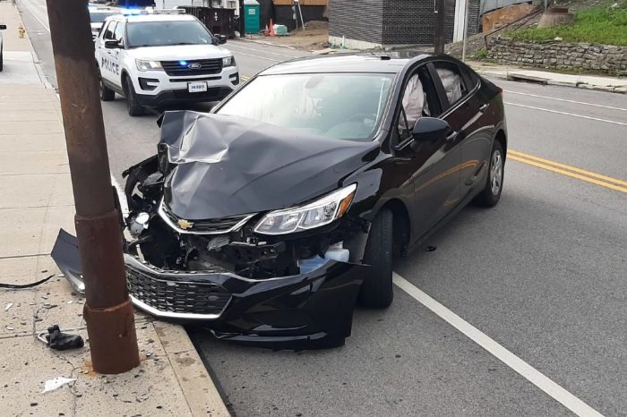 Police Say That a Cicada Was Responsible for This Car Crash In Ohio