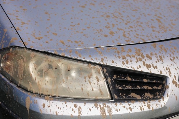 Here Are the Dangers of Leaving Your Car Dirty