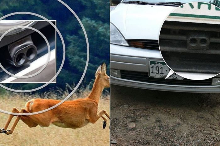 $8 ‘Save-a-Deer’ Whistle Can Save the Lives of Many Deer (And More Importantly, Drivers)